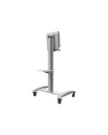Peerless ACC-MSF-W - Montagekomponente (Regal)