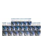 Seiko Instruments SLP-SRLB - Selbstklebend - weiß - 54 x 101 mm 900 Etikett(en) (1 Rolle(n)