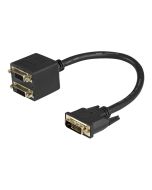 StarTech.com DVI-D auf 2x DVI-D 30cm Splitter