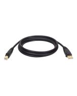 Tripp Eaton Tripp Lite Series USB 2.0 A to B Cable (M/M)