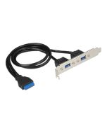 Delock Slot bracket - USB-Konsole - USB Typ A (W)