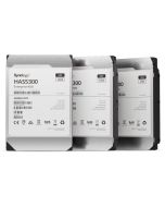 Synology HAS5300 - Festplatte - 12 TB - intern - 3.5" (8.9 cm)