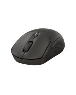 HP 405 - Maus - leise - rechts- und linkshändig - optisch - 5 Tasten - kabellos - Bluetooth 5.2, 2.4 GHz - kabelloser Empfänger (USB)
