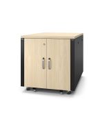 APC NetShelter - Schrank (vertikal) - schallisoliert - AC 100-230 V - Ahorn - 12U - 48.3 cm (19")