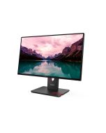 Lenovo ThinkVision T24-40 - LED-Monitor - 61 cm (24")