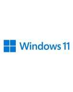 Microsoft Windows 11 Pro - Lizenz - 1 Lizenz - OEM - DVD