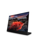 Lenovo ThinkVision M14t Gen 2 - LED-Monitor - 35.6 cm (14")