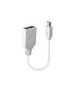 Lindy DisplayPort-Adapter - Mini DisplayPort (M)