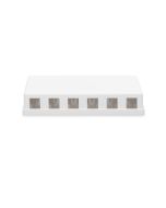 DIGITUS Konsolidierungs-Punkt Gehäuse für 6x Keystone Module