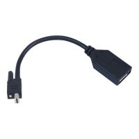 Matrox TripleHead2go upgrade - DisplayPort-Adapter - Mini DisplayPort (M)