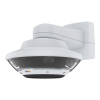 Axis Q6100-E 60 Hz - Netzwerk-Überwachungskamera - Kuppel - Außenbereich - vandalismusresistent/wasserfest - Farbe (Tag&Nacht)