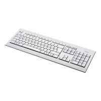 Fujitsu KB521 - Tastatur - USB - Schweiz - Marble Gray