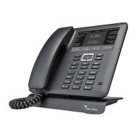 bintec elmeg IP640 - VoIP-Telefon - SIP, RTCP, RTP, SRTP, SIPS
