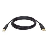 Tripp 6ft USB Cable Hi-Speed Gold Shielded USB 2.0 A/B Male / Male 6' - USB-Kabel - USB (M)