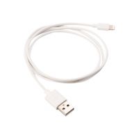 PARAT Lightning-Kabel - USB männlich zu Lightning männlich